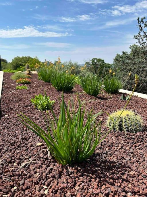 Villa Sous Le « Figuier » Cornillon-Confoux Esterno foto